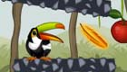 Toucan in The Jungle